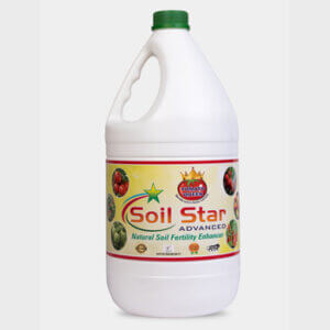 Soil Star - Tomato Queen