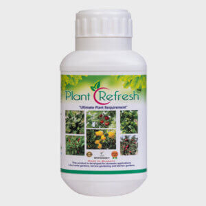 Plant Refresh