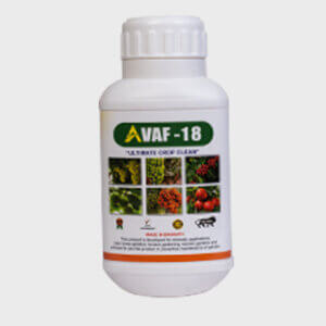 AVAF18