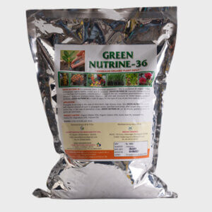 Green Nutrine 36